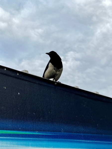 Double Crush 攝影書拍攝計畫｜王湘靈｜國藝會補助成果檔案庫